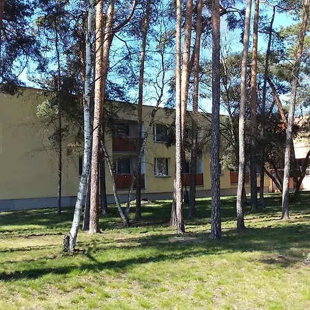 Kamyk